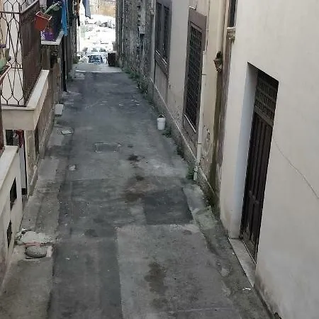 N21 Palermo